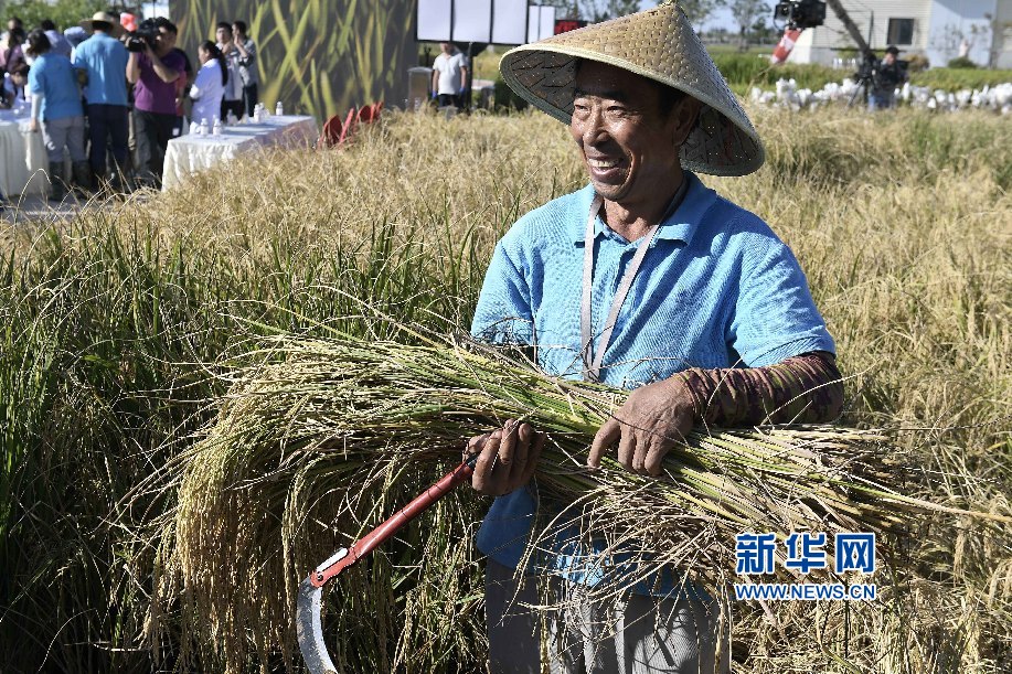 山东gdp来源_山东：甩脱GDP“增压”聚焦高质量发展