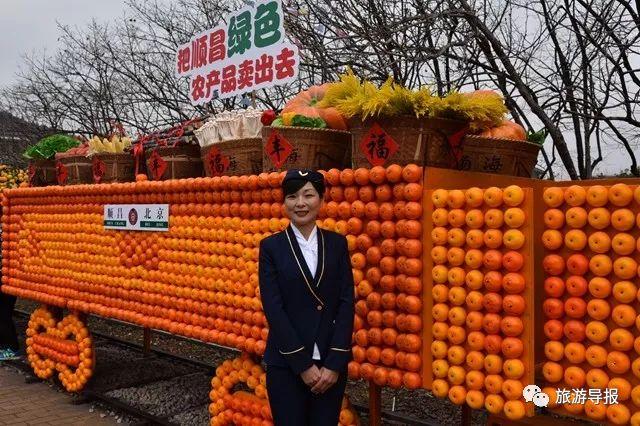 创意营销引爆福建顺昌首届国际柑橘艺术节