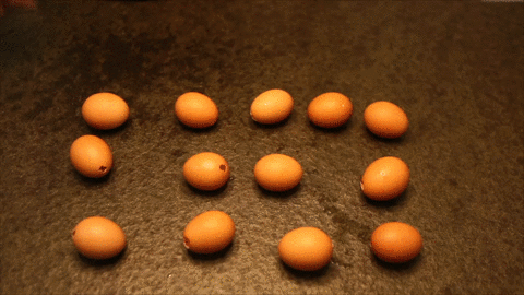 所有鸡蛋被打碎,里面完全没有蛋液残留.