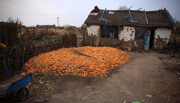 国家发放养老保险了,农村失地农民怎么领取?