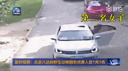 八达岭老虎案再刷新三观 规则是儿戏？ 