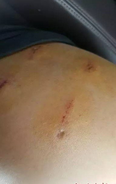 八达岭老虎案再刷新三观 规则是儿戏？ 