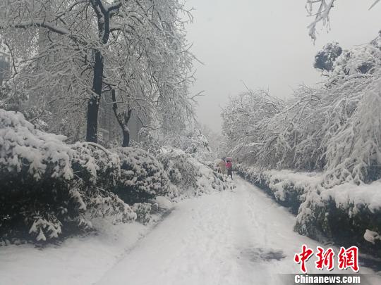 安徽启动重大气象灾害（暴雪）Ⅱ级应急响应