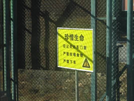 八达岭老虎案再刷新三观 规则是儿戏？ 