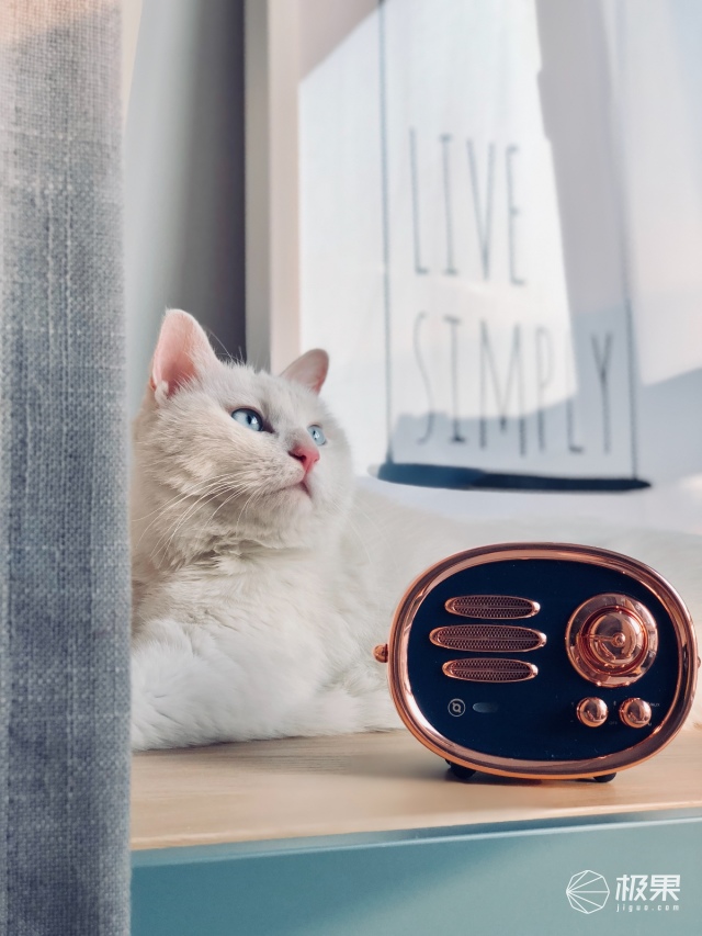 猫王（Catking）米字旗收音机