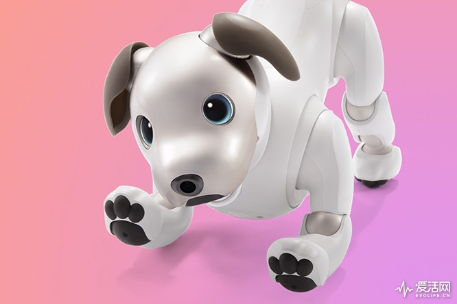 CES2018 | 索尼邀请函披露 OLED电视仍是杀