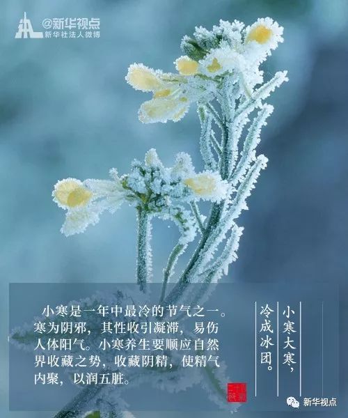 小寒：最寒冷的季节，该怎么养生？