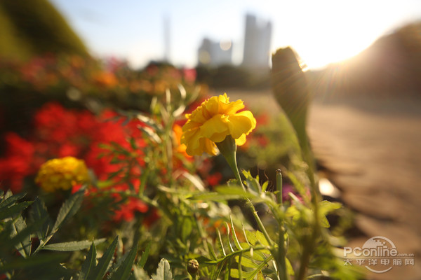 永诺yn 14mm f/2.8 官方样张