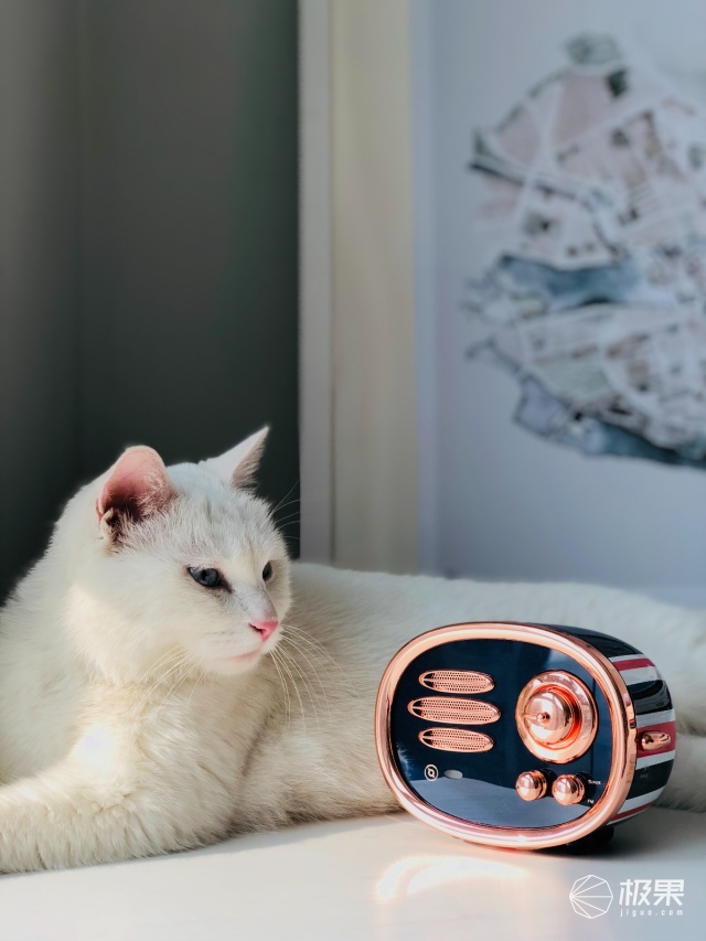 猫王（Catking）米字旗收音机
