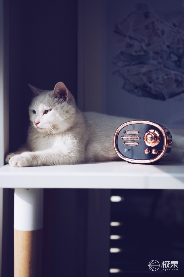 猫王（Catking）米字旗收音机