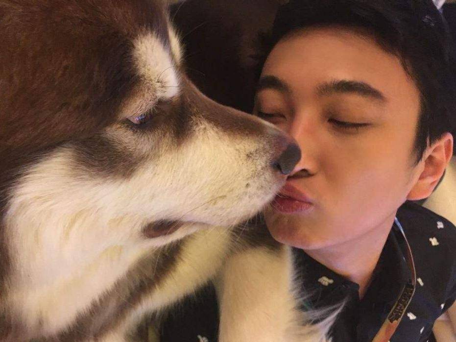 王思聪每天撒几十万的答题赢钱App,还能火多