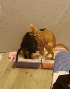 拉粑粑恶心人动态图 呕吐拉不出是