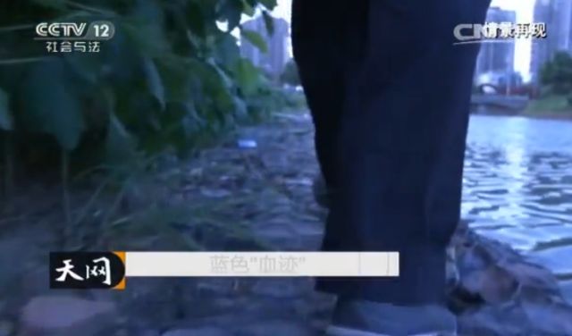 蓝色的血迹 4632456AE724B5C348BA8752FAE2D1CE2B73A8F7_size24_w640_h376.jpeg