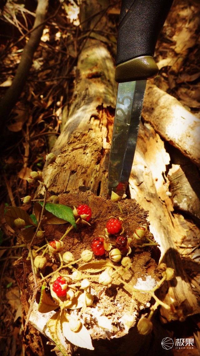 “瑞典国刀”莫拉125周年纪念版,锋利耐操剔骨劈柴都不是事儿 “瑞典国刀”莫拉125周年纪念版,锋利耐操剔骨劈柴都不是事儿
