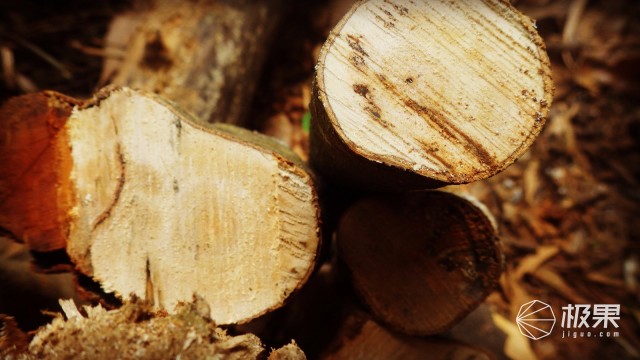 “瑞典国刀”莫拉125周年纪念版,锋利耐操剔骨劈柴都不是事儿 “瑞典国刀”莫拉125周年纪念版,锋利耐操剔骨劈柴都不是事儿