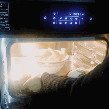 老板(Robam)S226嵌入式蒸汽炉