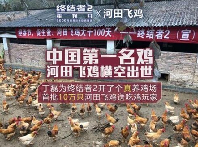 网易出面否认养鸡传闻：目前仍以养猪为主 