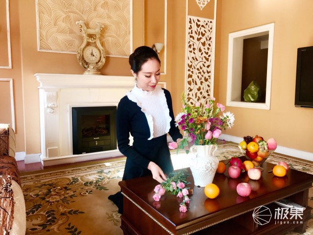 老板(Robam)S226嵌入式蒸汽炉