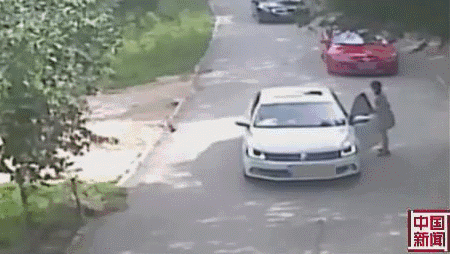 450_254 gif 动态图 动图