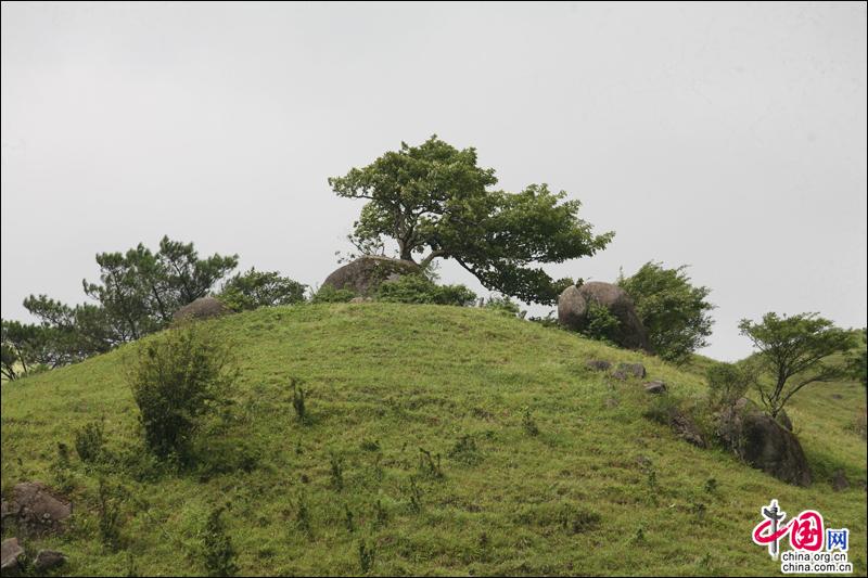 城步县城人口_城步县城风景(2)