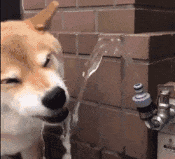 小姐来的时候,看到只有我一个人,就问: