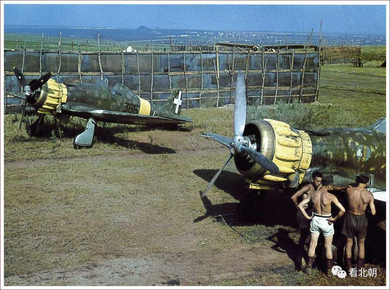 墨索里尼都不忍心看了!二战意大利战斗机图集