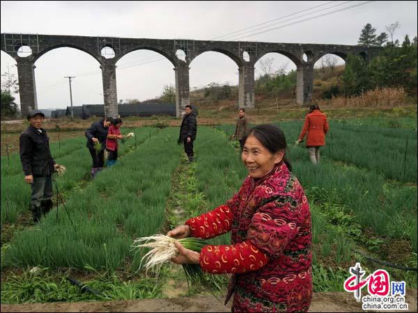 湖南邵阳双清区:用组合拳建设康养魅力乡村