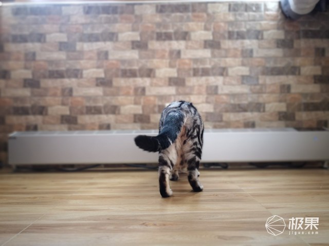 欧伟士M2500家用取暖器 欧伟士M2500家用取暖器