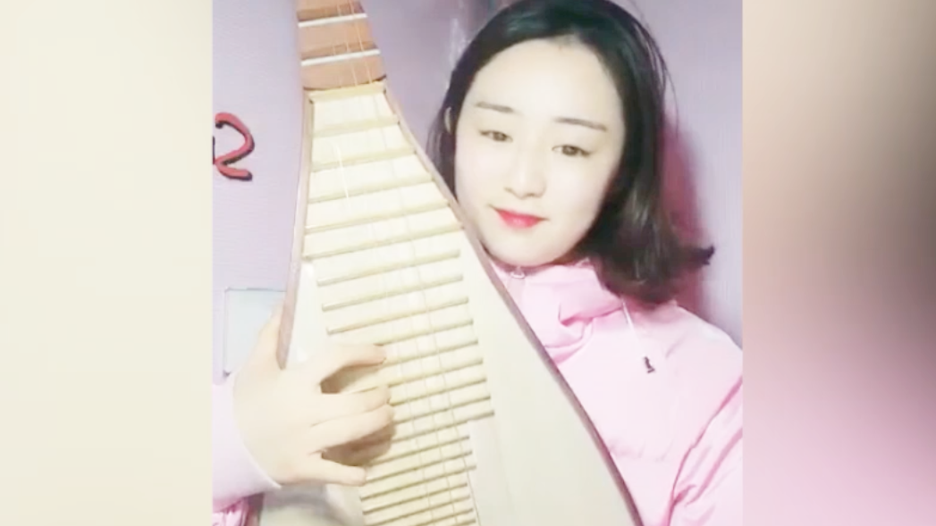 一曲琵琶版凉凉超级好听