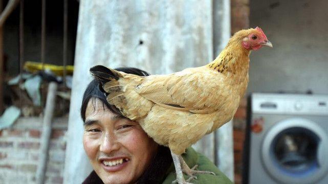 文章配图