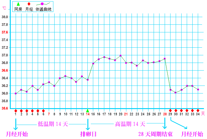 体温枪测体温是什么原理_体温枪测体温图片(2)