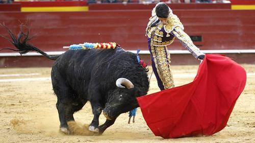 西班牙斗牛士用红布惹牛发怒，网友:我们全理解错了