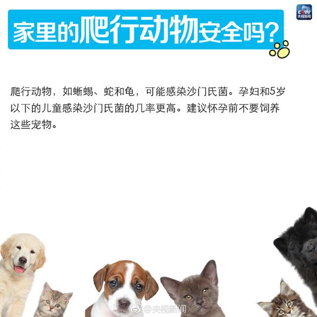 1B2C98C8CAC1B7F5679A6BAC7B5BE837078206A2_size41_w640_h640.jpeg