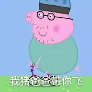 精致的猪猪男孩啊