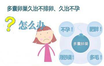 ED9D6DFD907E804E212C71401F4A8C0301B563A4_size23_w360_h230.jpeg