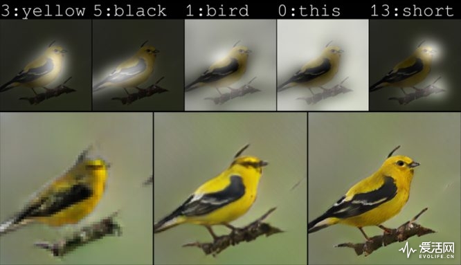 Google AI还只懂涂鸦时 微软人工智能已经学会如何画鸟