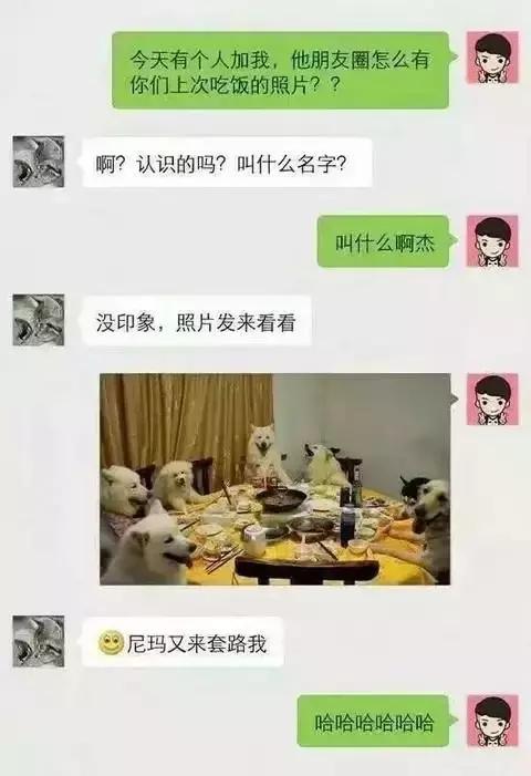 搞笑内涵图:媳妇,你说你丢人不,这么大的车撞不过一辆