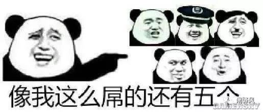 路面畅通随时可以开车 2017年那些热门表情包系列