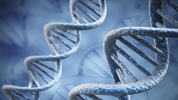 美国将首次对人体进行CRISPR实验，有望对抗癌症