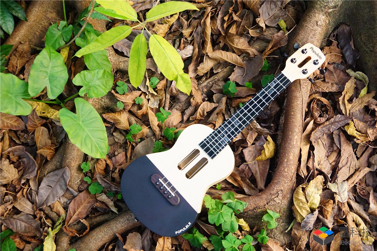 雷军、周杰伦、陈奕迅都捧过,5 天就能学会的