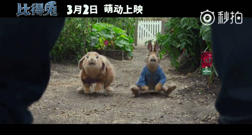 会武功还能改装电网,这只《比得兔》打起架来萌贱萌贱