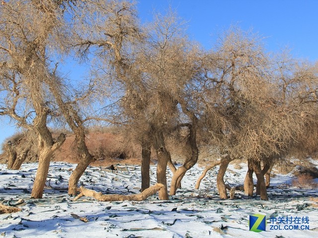 原始野性之美：京新高速无人区自驾攻略 