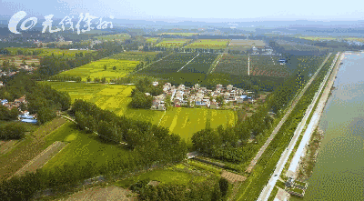 壁纸 成片种植 风景 植物 种植基地 桌面 400_221 gif 动态图 动图