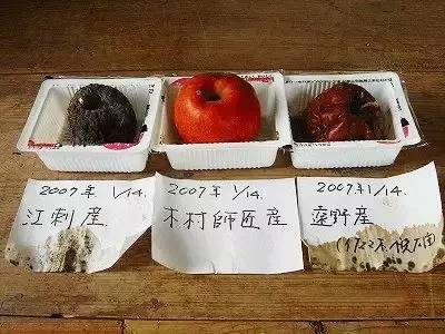 放不烂的苹果?!20年坚持有机种植,日本有的中