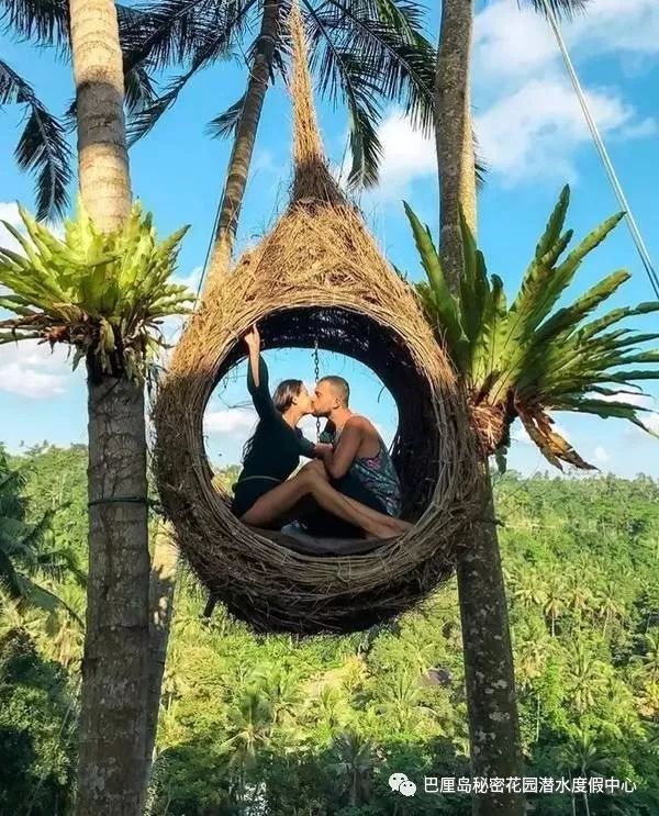 青蛙又去旅行了,你还在等什么?盘点春节玩转巴厘岛攻略!