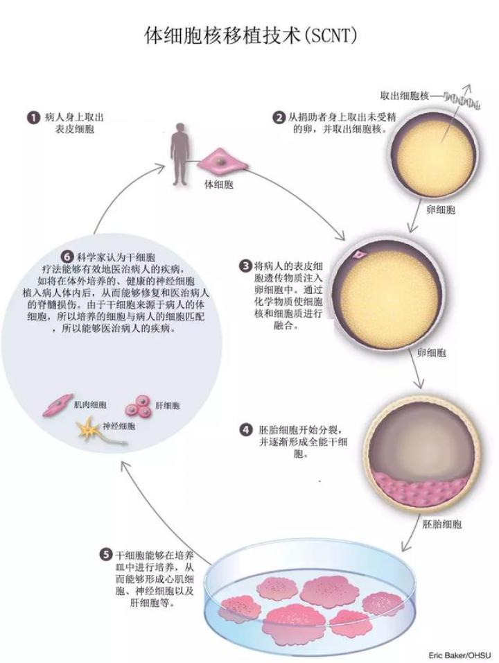 中国人口生殖保健网_...妇女福音,清流生殖健康援助行动 蓝氧 项目启动啦