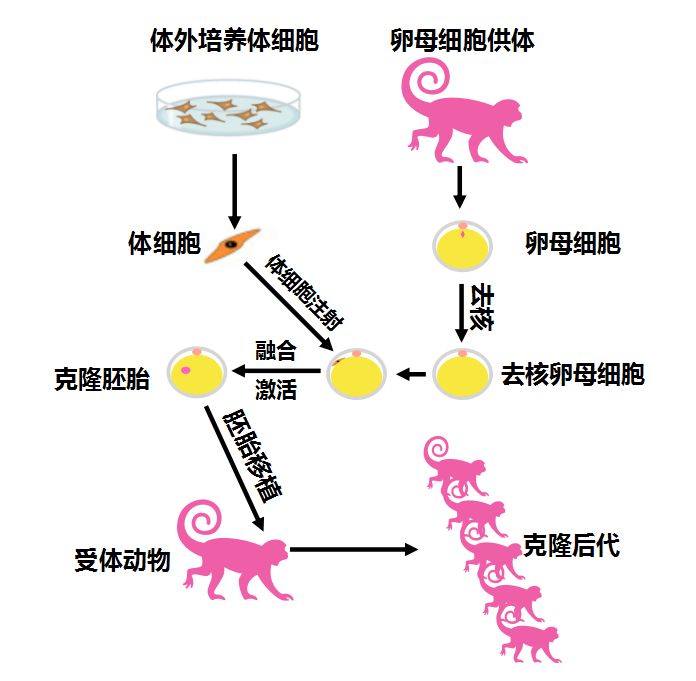 世界人口多的视频_世界人口特别多图片(2)