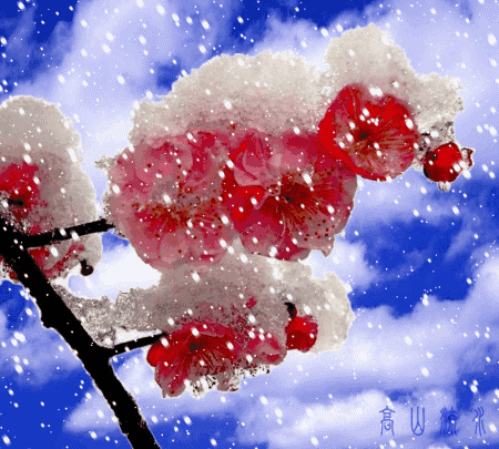 450_405 gif 动态图 动图