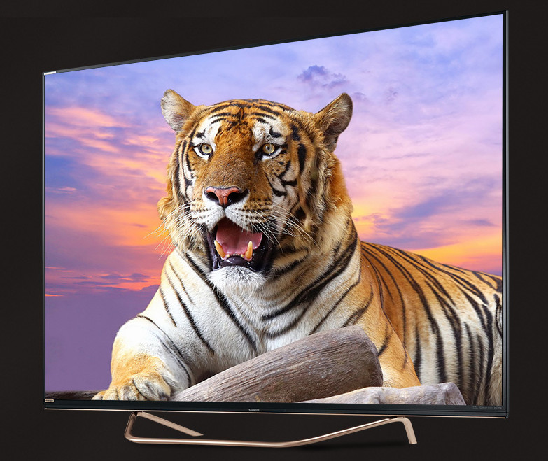 冬季假日享受惬意生活,也许有它们才完美