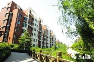 又一国字号荣誉!贾汪在这些方面太优秀了!